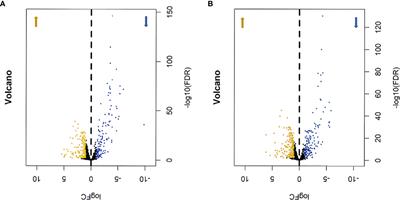 Survival-Associated Metabolic Genes and Risk Scoring System in HER2-Positive Breast Cancer